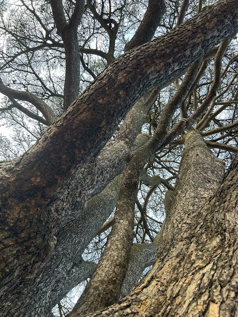 Dealing with grief, and why a funeral can be so important.